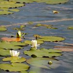 DSC_1735.JPG