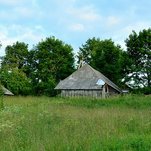 DSC_2817.JPG