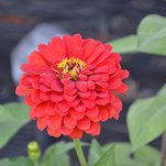 DSC_2062.JPG