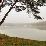 IMG_8055 copy.jpg
