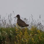 DSC00371.JPG