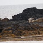 DSC00838.JPG