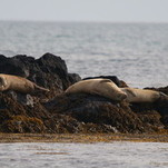 DSC00807.JPG