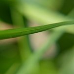 DSC_5376[1].JPG