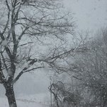 DSCF1066.JPG