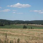 DSCF1455.JPG