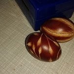20150403_190543.jpg