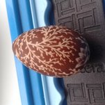 20160417_153005.jpg