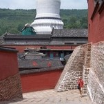 100_1113.jpg