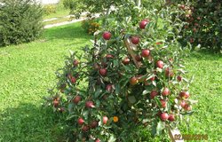 IMG_1082.JPG