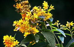 20160710_0153.jpg