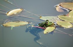 DSCF5442.JPG