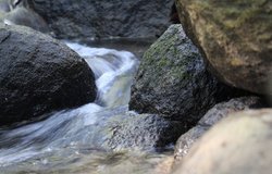 IMG_0667.JPG