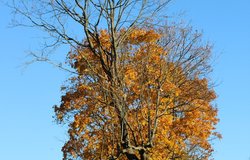 IMG_0827.JPG