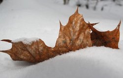 IMG_1280.JPG