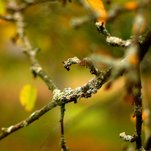 IMG_3296.JPG