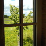 DSC02878.JPG