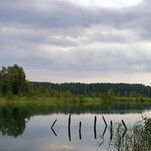 Vakaras