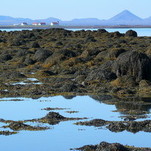 Atoslūgis