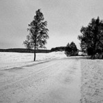 seirijai-1.JPG