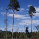 P4290814.JPG