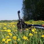 P5201419.JPG