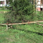 IMGP4874.JPG