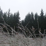 P1030036.JPG