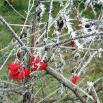 20081229_348.jpg