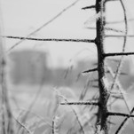 DSC_3090.jpg