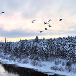 DSC_4164sum.jpg