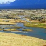 Islandija