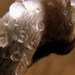IMG_4357.JPG