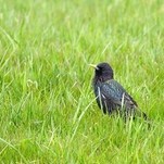 IMG_2010_04_20_3339.jpg