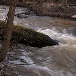 IMG_4894.JPG