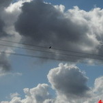 CIMG7759.JPG
