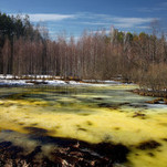 Ankstyvo pavasario spalvos