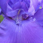 IMG_0007.JPG