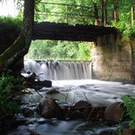 DSCF7177.JPG