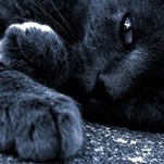 DSCF2338.JPG