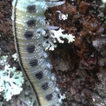2011-08-13 15.53.11.jpg