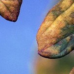 _8301508-1.jpg