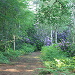 IMG_5543.JPG