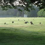 IMG_5493.JPG