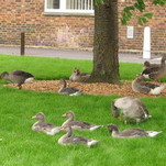 IMG_5734.JPG