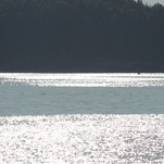 IMG_0499.JPG