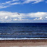DSC_1130.JPG