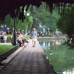 DSCF8945.JPG