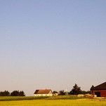 Spalvotai