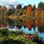 PA151324-1.jpg